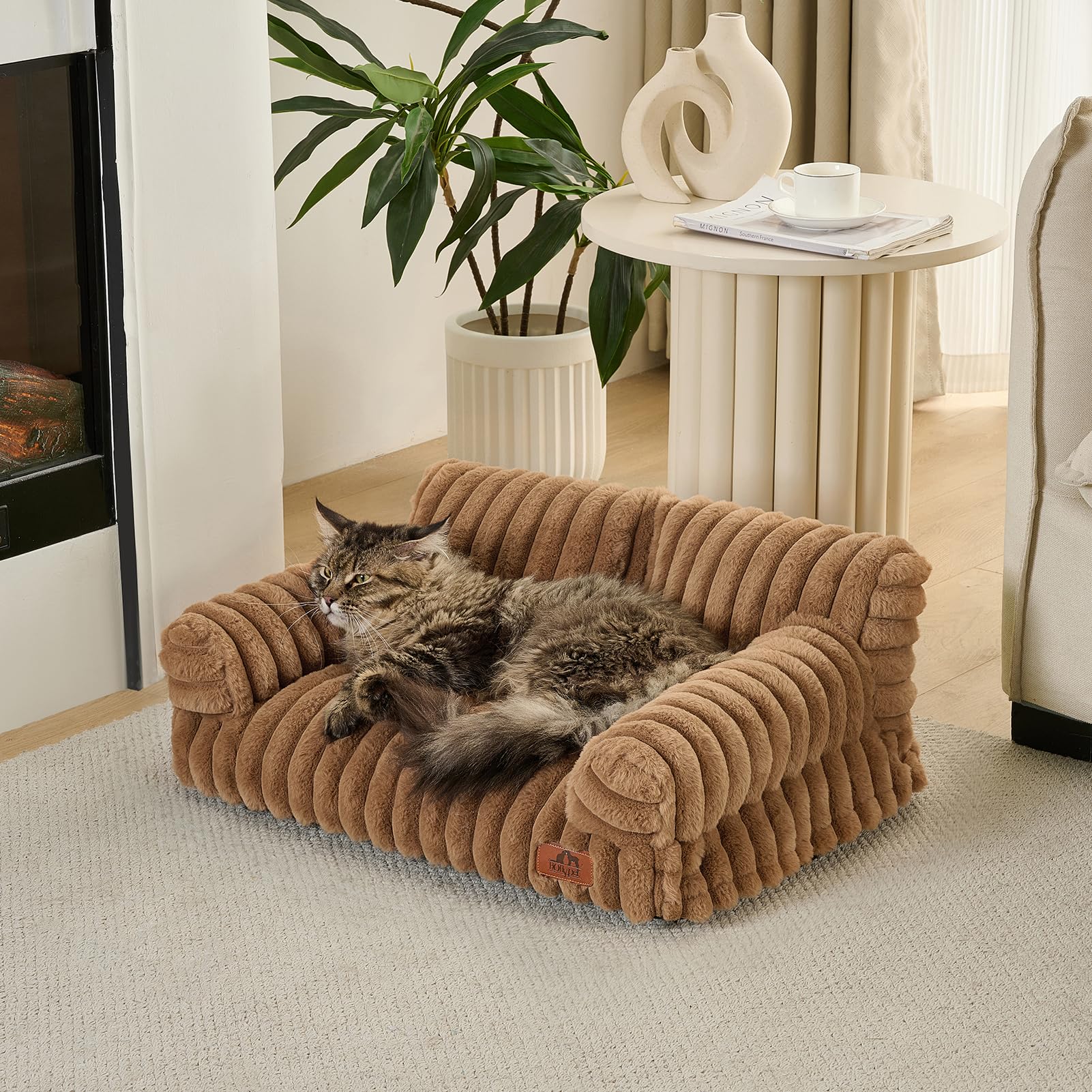 Hollypet bed shown on floor with a curled cat enjoying a nap
