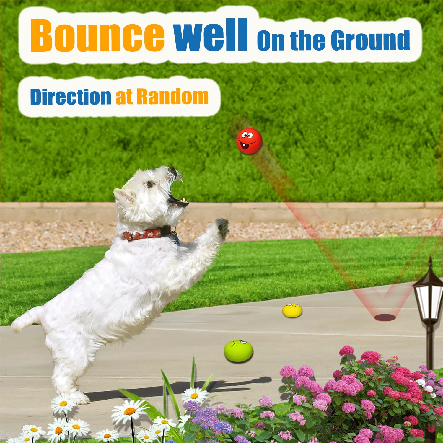 HOLYSTEED squeaky ball toy engages dogs with a satisfying chirp during gentle chewing sessions