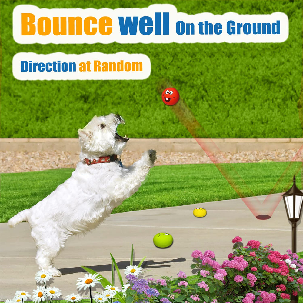 HOLYSTEED squeaky ball toy engages dogs with a satisfying chirp during gentle chewing sessions