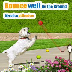 HOLYSTEED squeaky ball toy engages dogs with a satisfying chirp during gentle chewing sessions