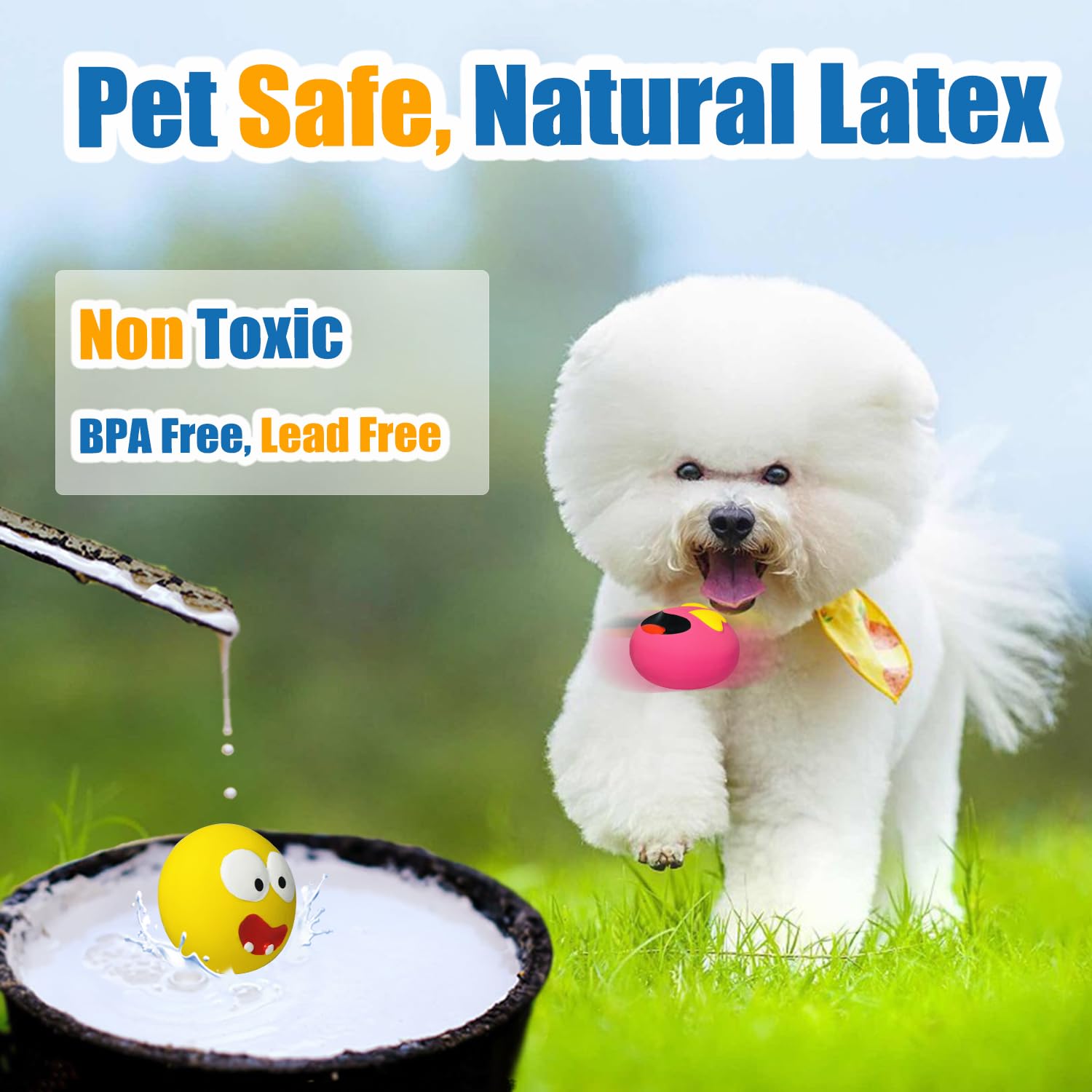 HOLYSTEED natural latex small-dog toy emphasizes safe, non-toxic material for gentle chewers