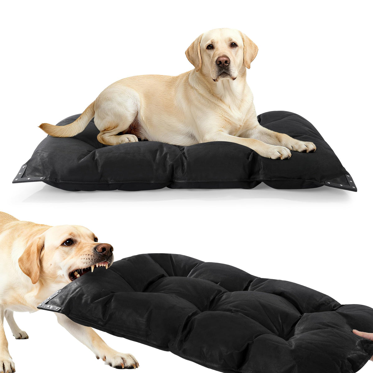 HOMBYS chew-proof bed edge rivets reinforce durability for aggressive chewers.