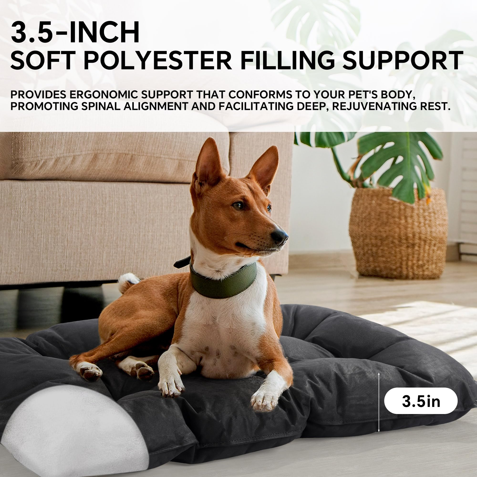 HOMBYS chew-proof bed foldable design enables easy transport and storage.