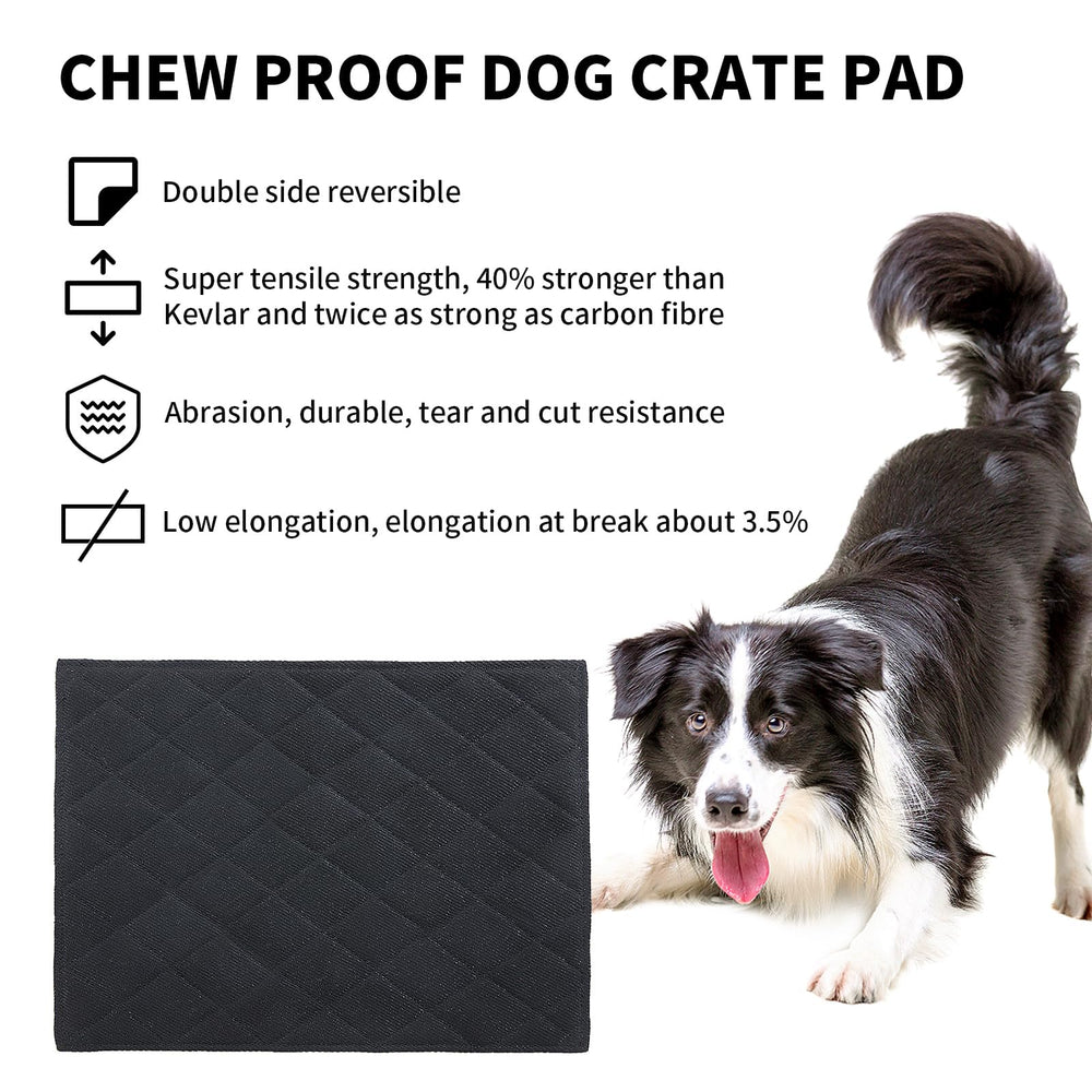 HOMBYS chew-proof dog crate pad puppy-playing image demonstrating comfort during teething and rest.