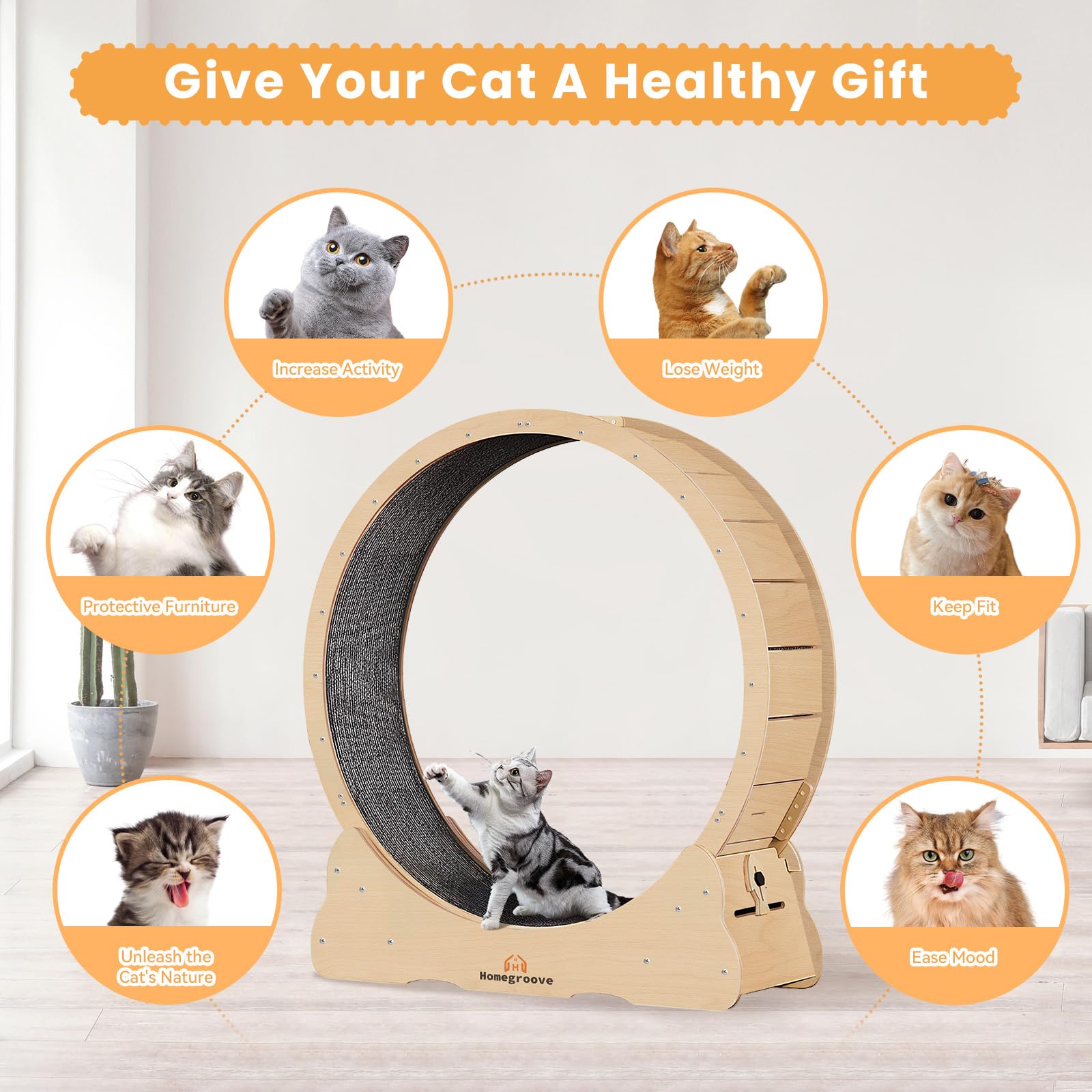 Homegroove anti-slip surface on cat wheel improves paw grip during exercise.