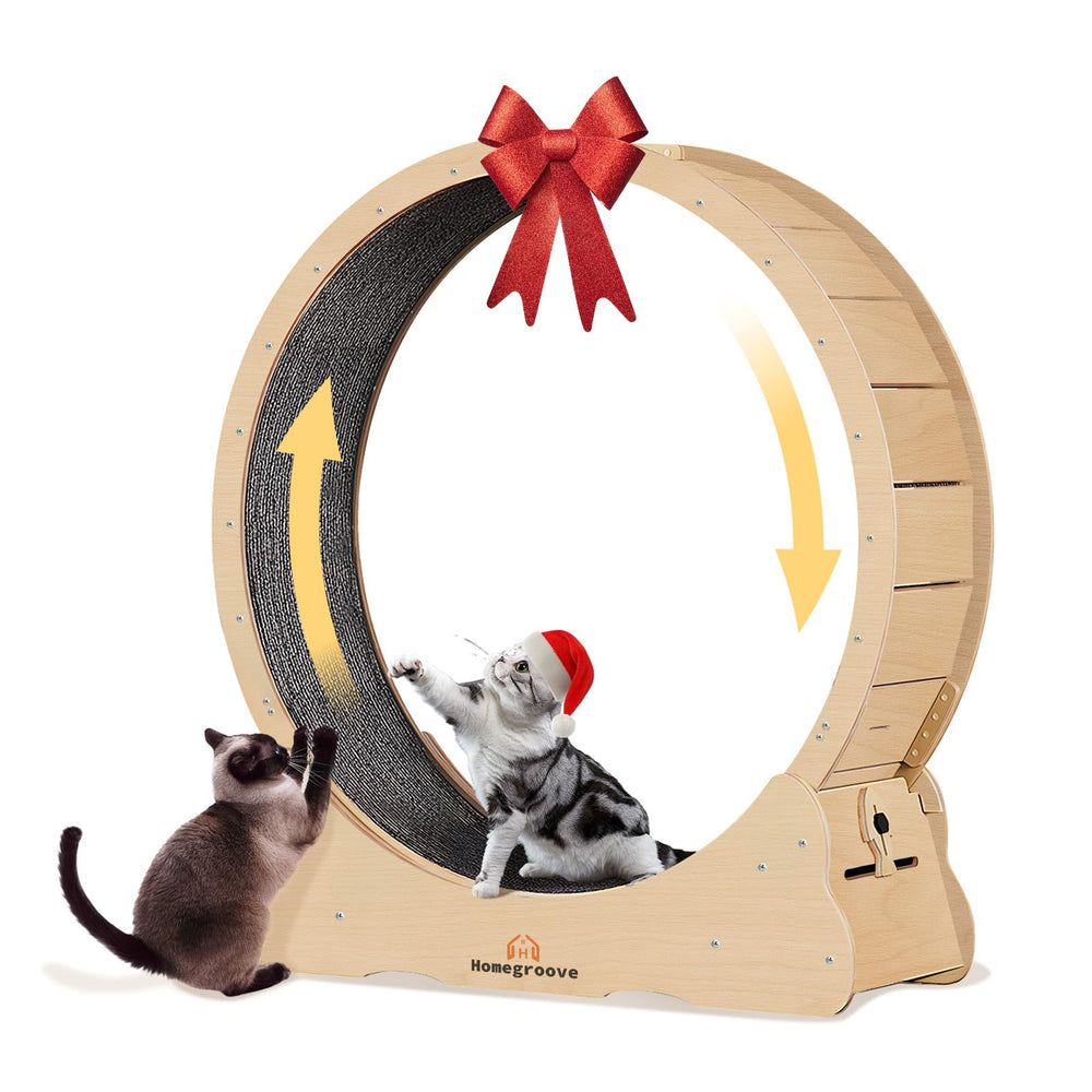 Homegroove cat wheel assembly shows sturdy wooden frame for durable indoor activity.