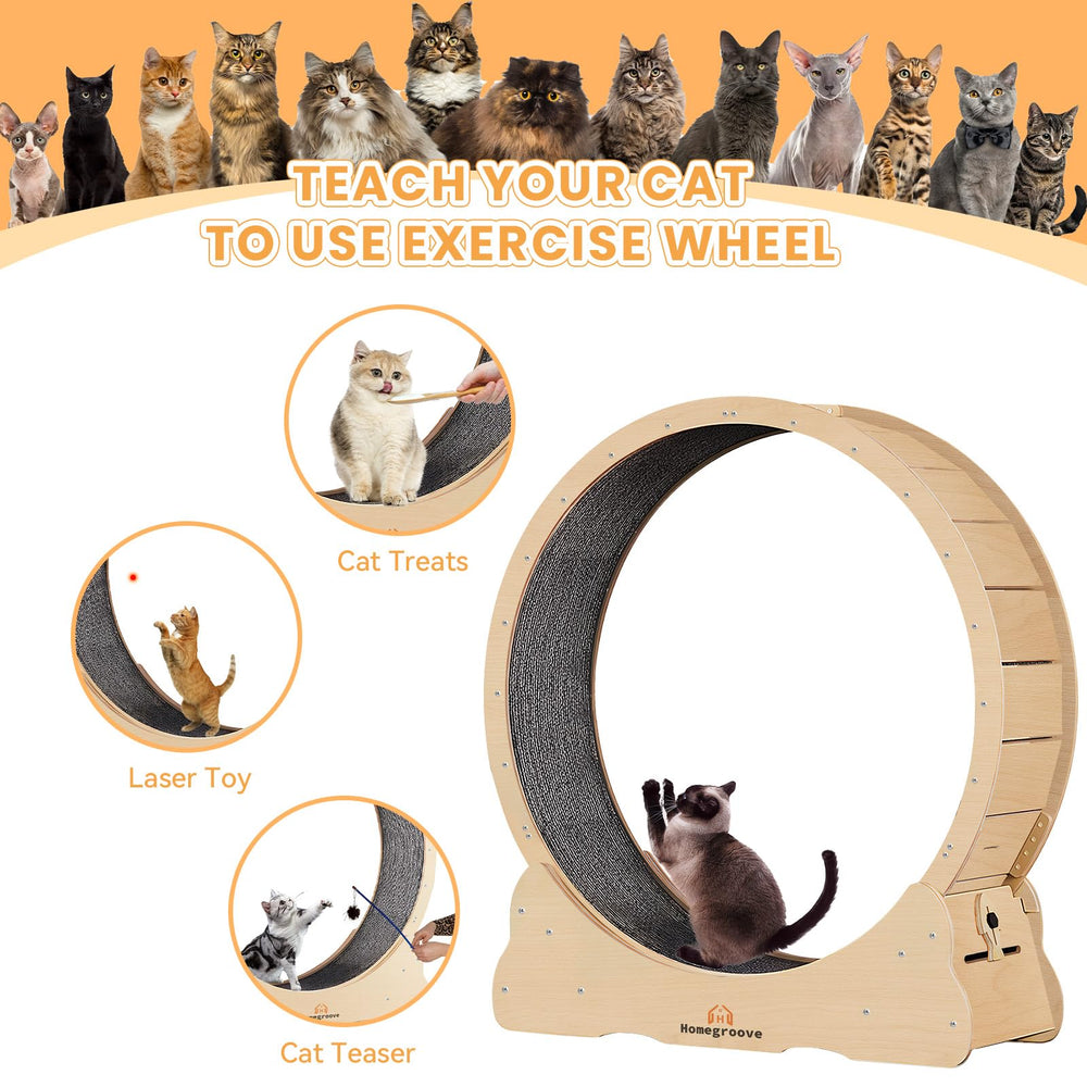 Homegroove Cat Wheel security lock for controlled playtime safety.