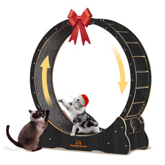 Homegroove Cat Wheels 46inch front view highlights sturdy build for daily indoor exercise.
