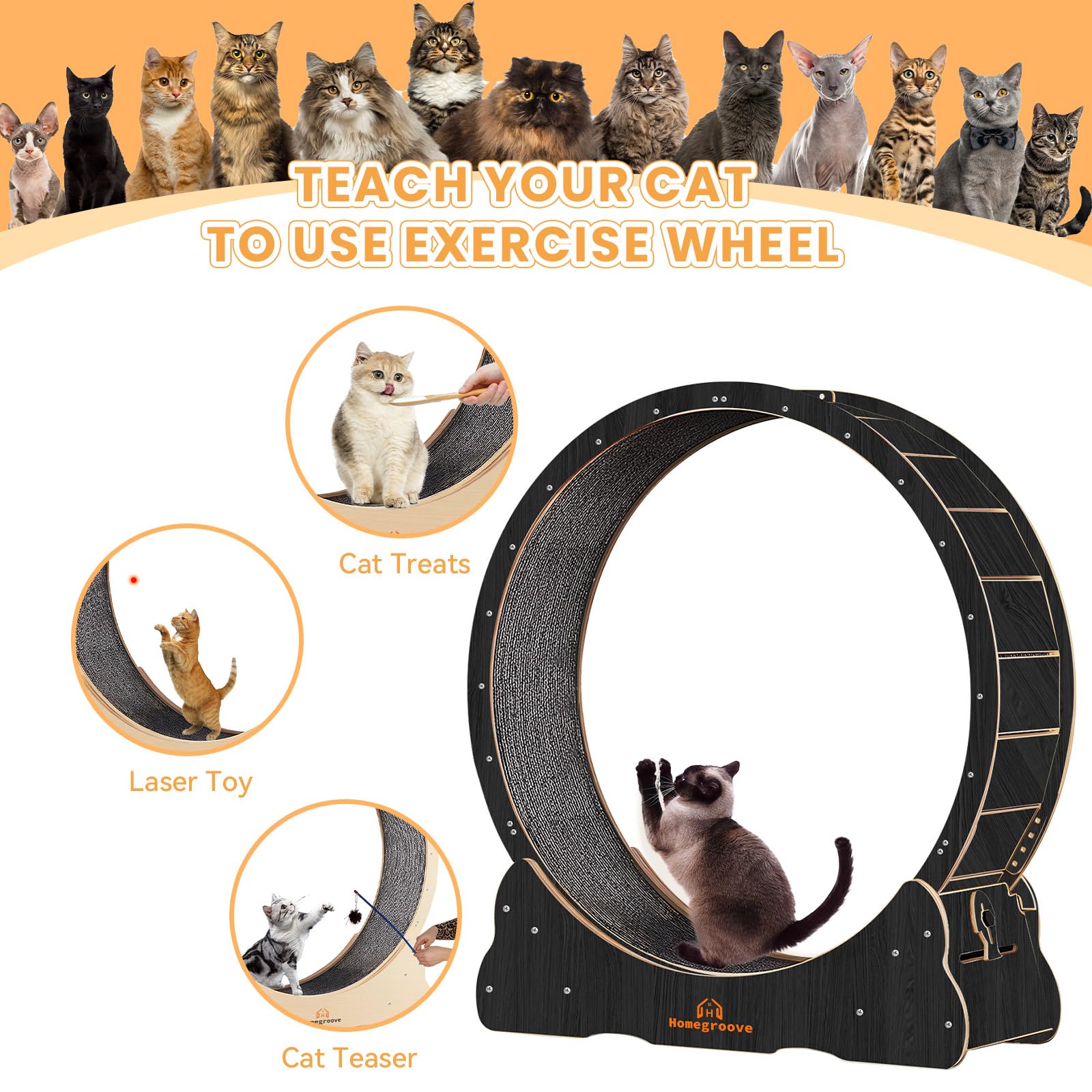Homegroove Cat Wheels 46inch quiet roller highlights peaceful nights for owners.