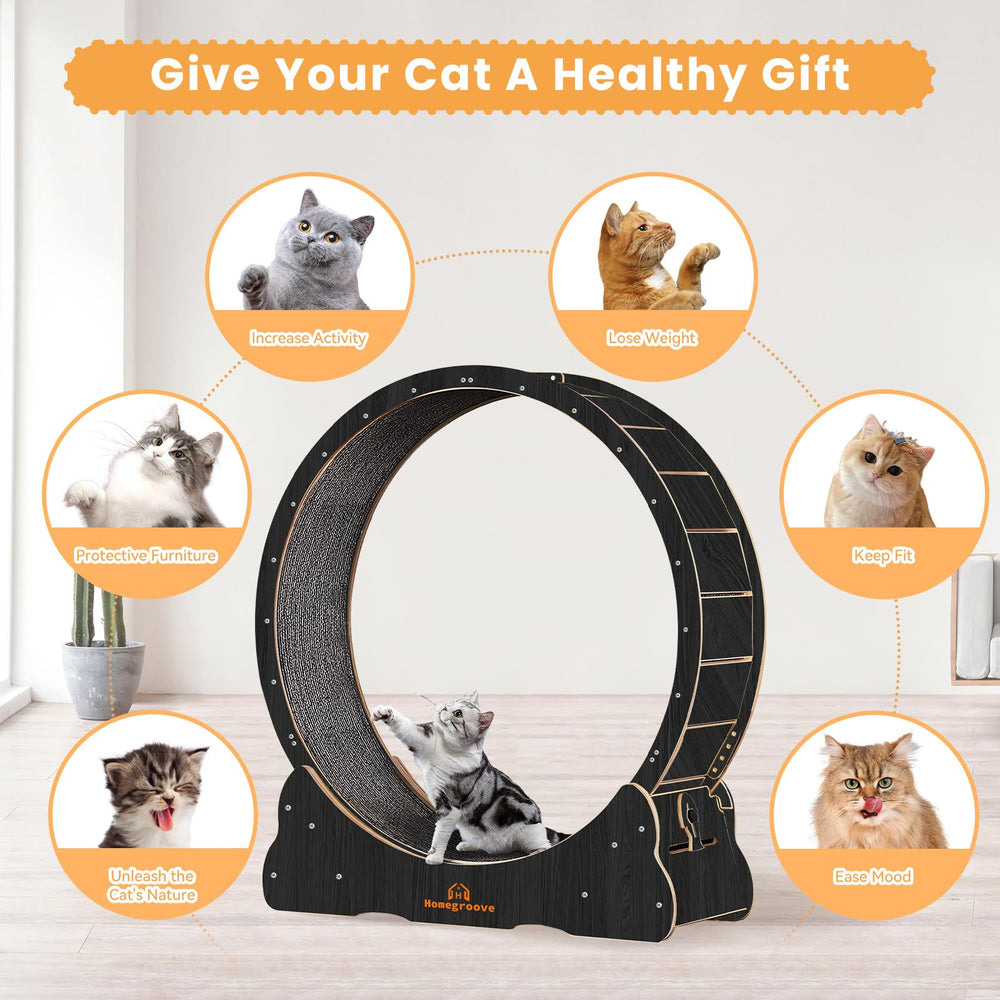 Homegroove Cat Wheels 46inch security lock allows safe unattended play.