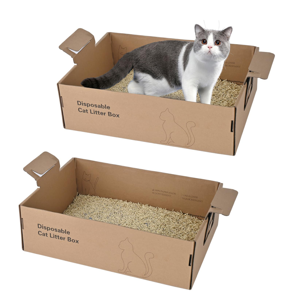Homegroove disposable litter box folded-compact shows portable, space-saving design for travel or storage.