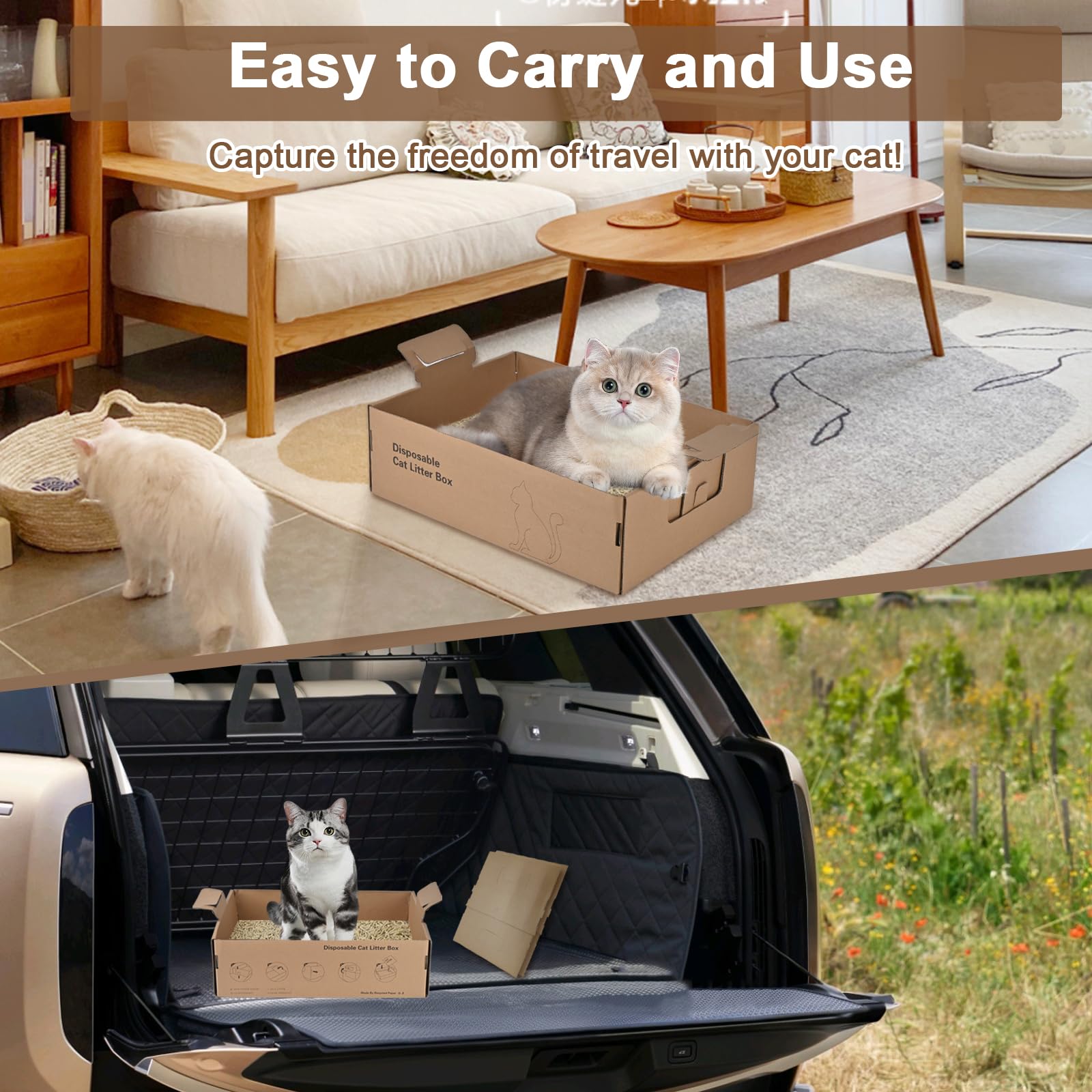 Homegroove-disposable-litter-box-two-pack showcases value and convenience for multi-cat homes.