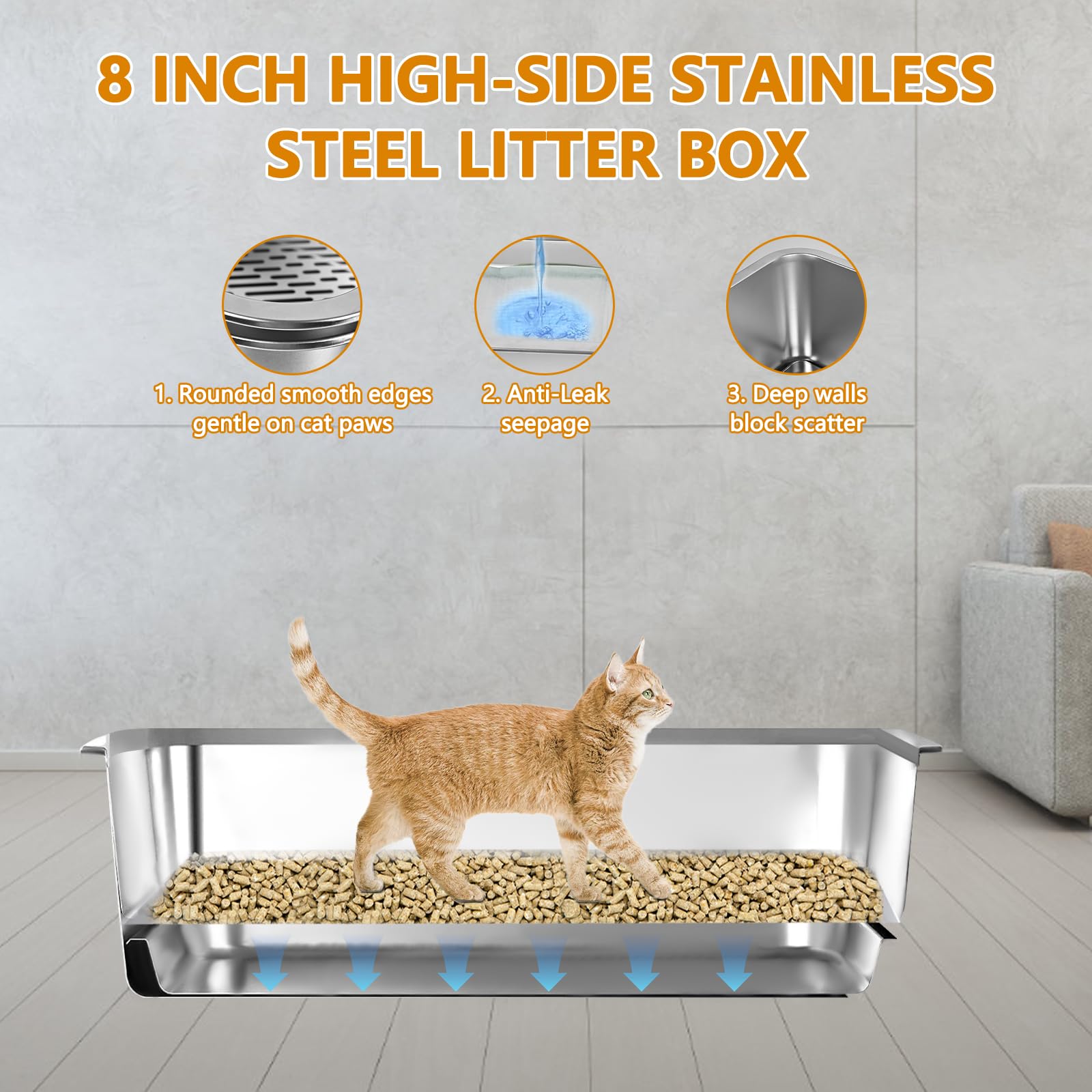 homegroove large-cat-friendly dimensions suit Maine Coon or multi-cat homes