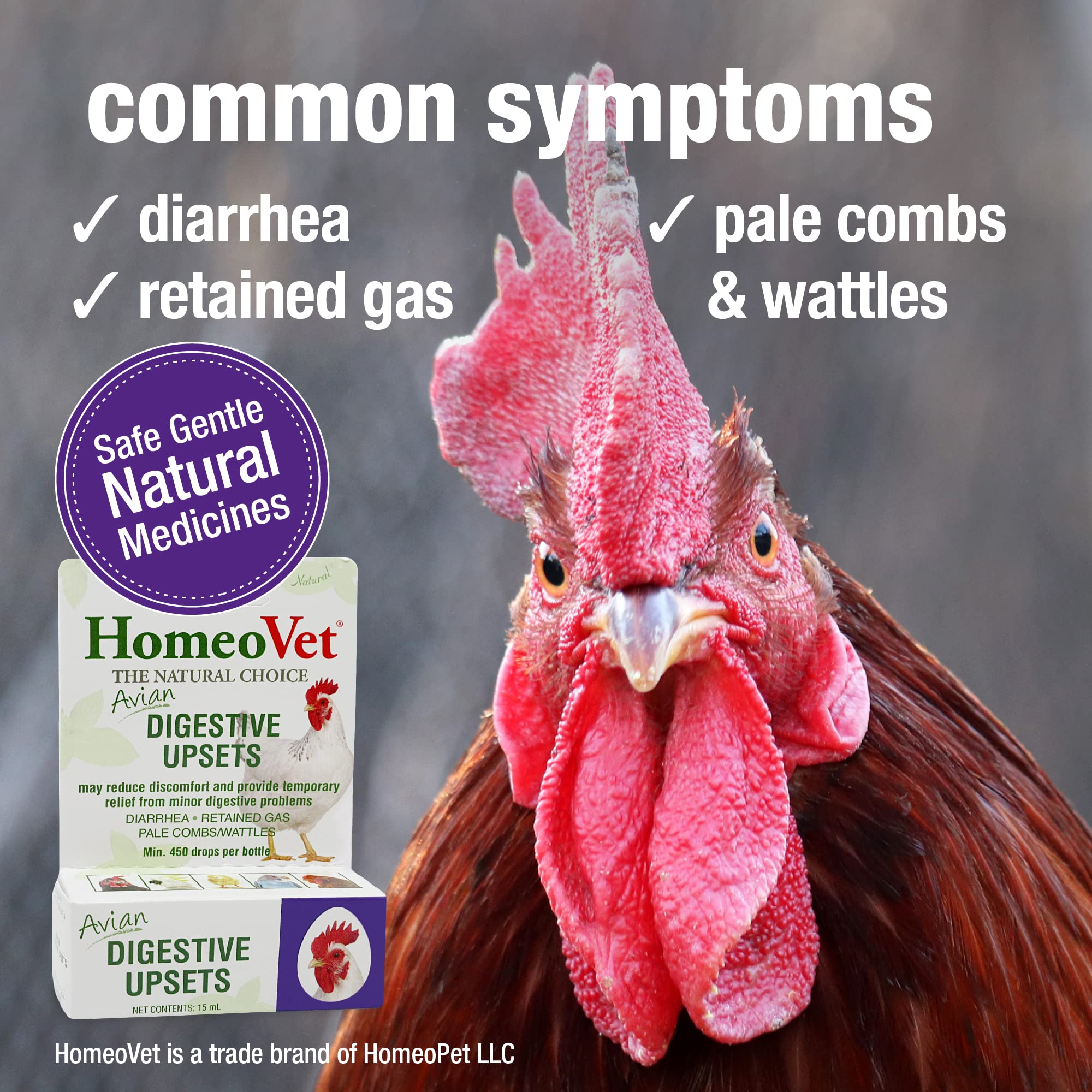 HomeoPet acute dosing timeline shows 15-minute intervals for quick bird dosing.
