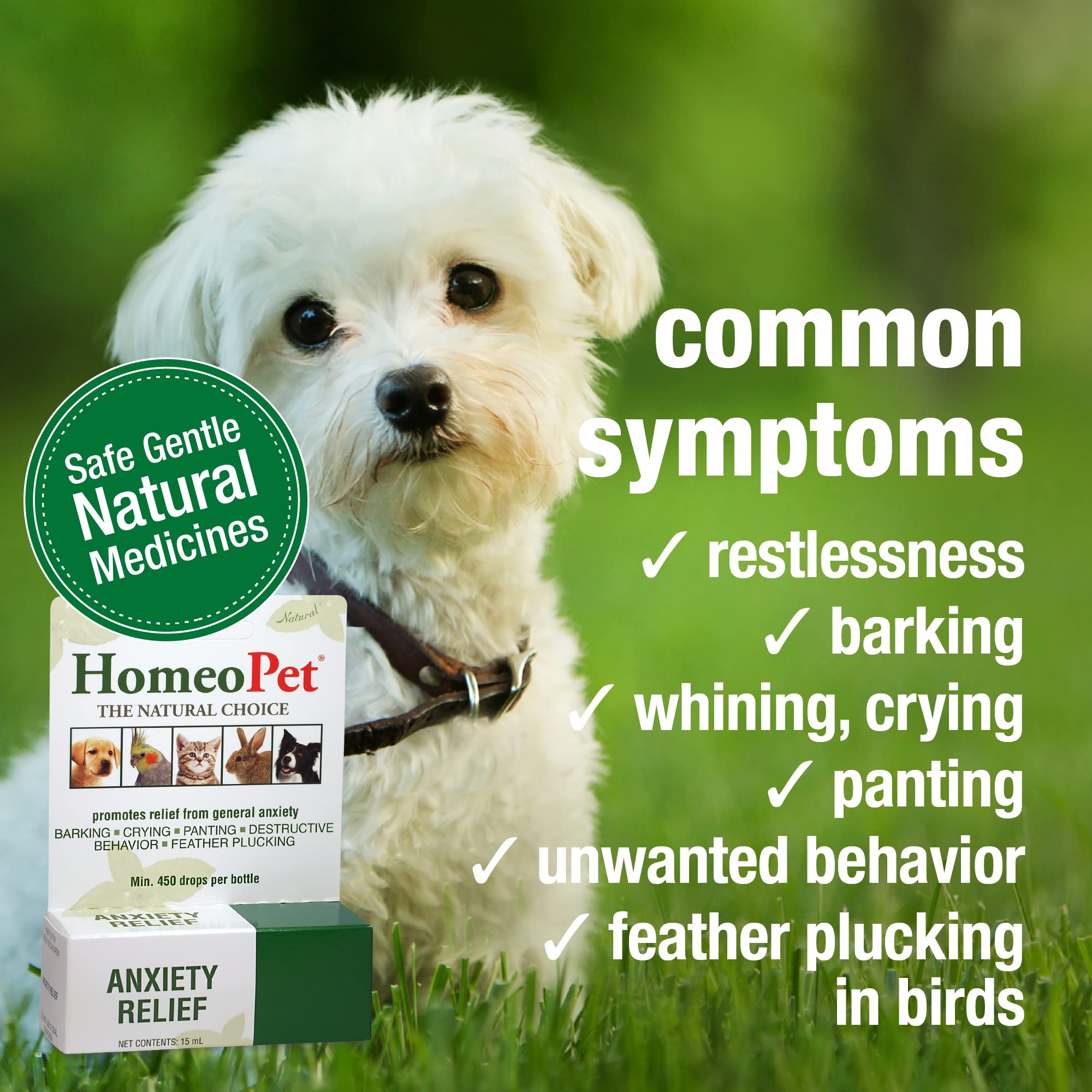 HomeoPet Anxiety Relief administering drops demonstrates simple oral dosing during stress.
