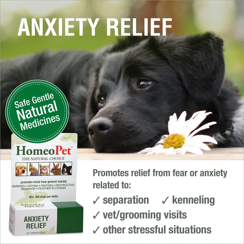HomeoPet Anxiety Relief bottle with dropper highlights easy dosing for quick relief.