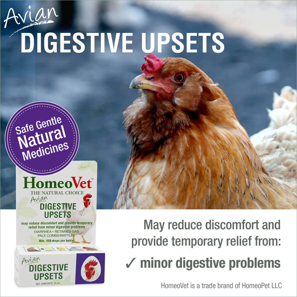 HomeoPet drops into water for easy daily administration to birds.