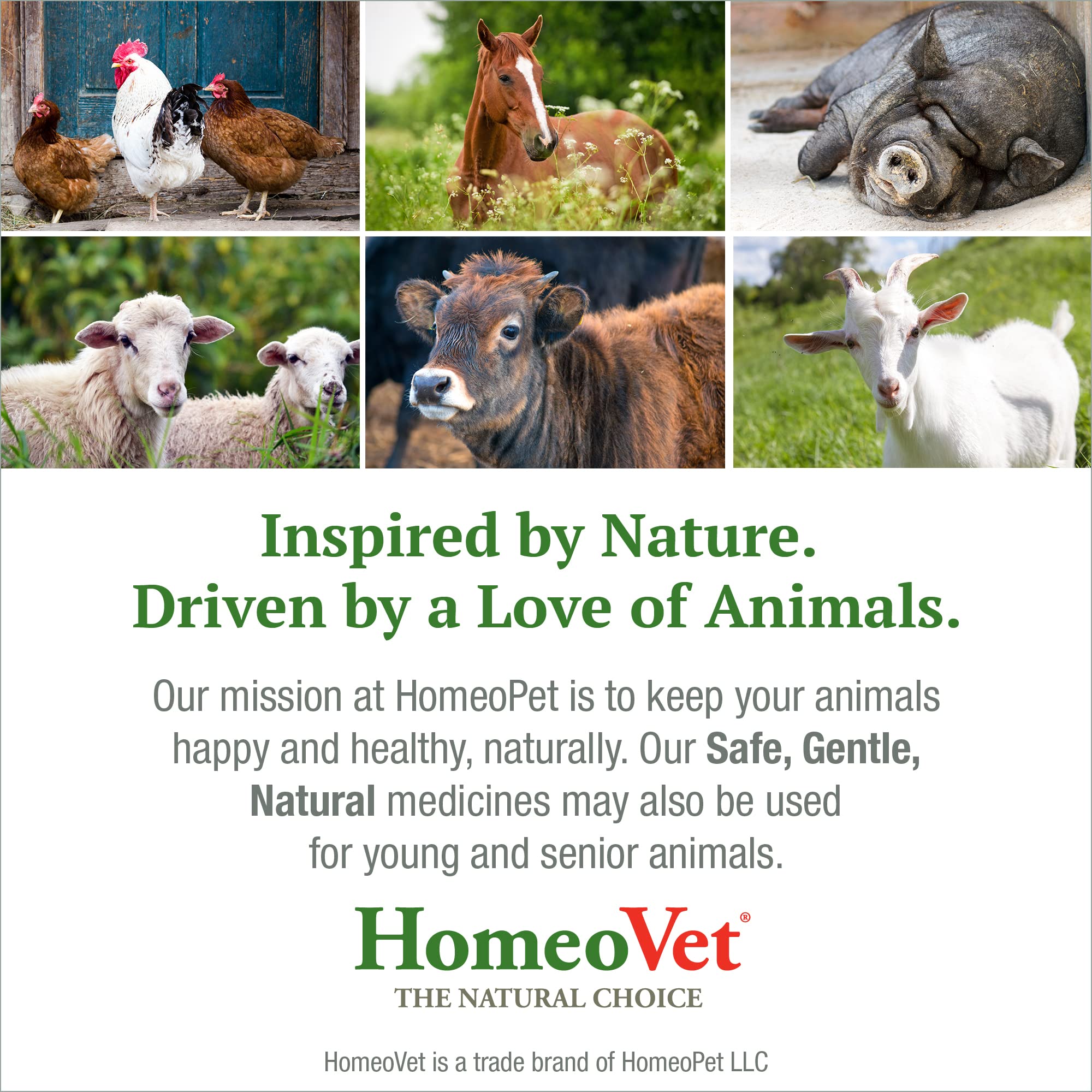 HomeoPet founders behind safe, natural care for birds.
