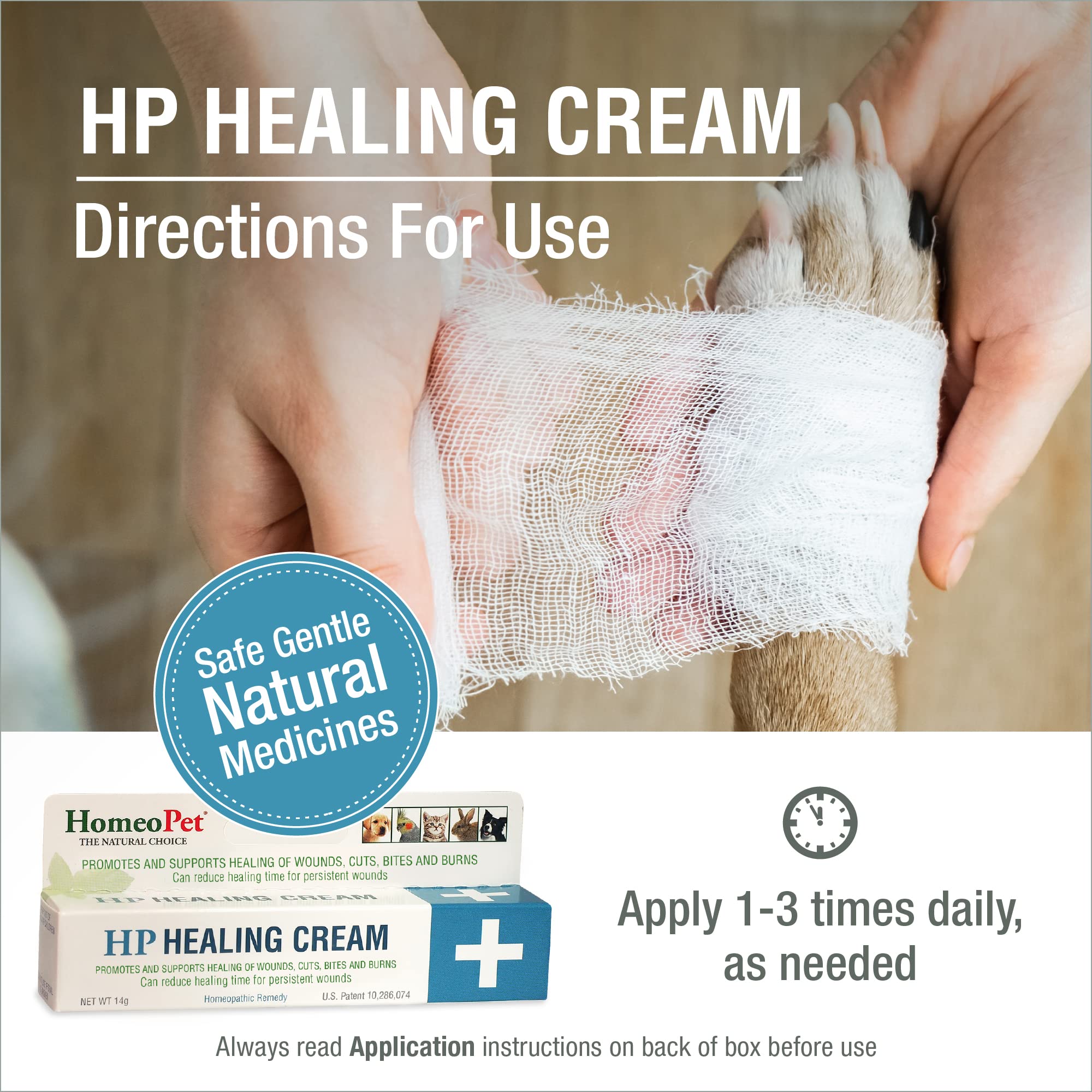 Cat paw with HomeoPet HP Healing Cream applied for pet-friendly wound care
