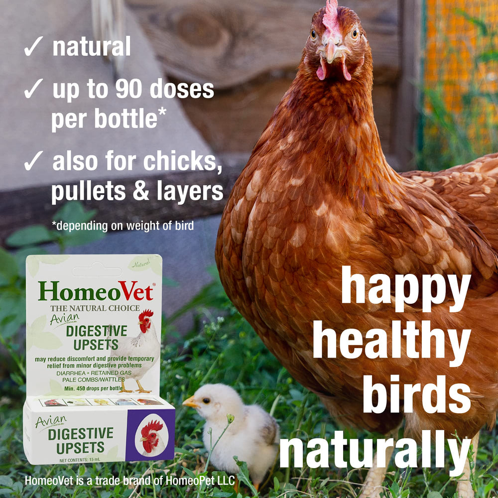 HomeoPet logo and natural ingredients emphasize safe, gentle care for birds.