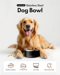 Homerunpet bowl with non-slip base prevents spills during meals.