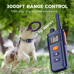 HomeTails IPX7 waterproof collar ready for rain and splashes during outdoor sessions.
