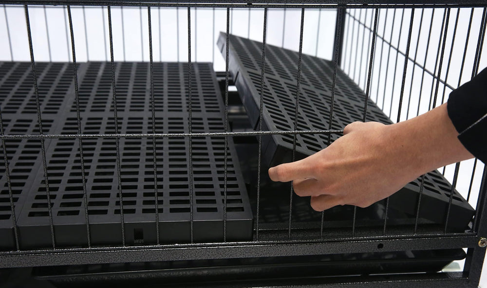 Homey Pet 43 Inch Whelping Box doubles as playpen for puppies to explore.