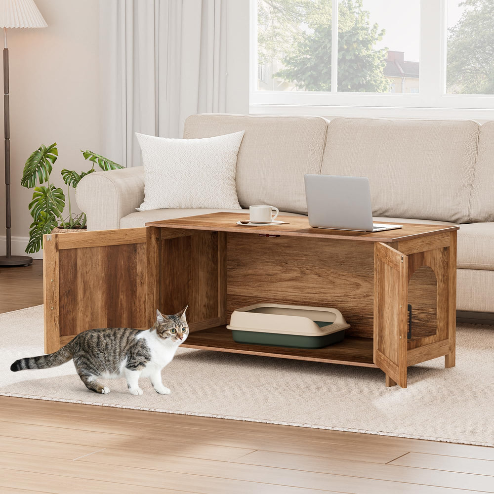 Homhedy room-placement setup adds a neat, pet-friendly focal piece.