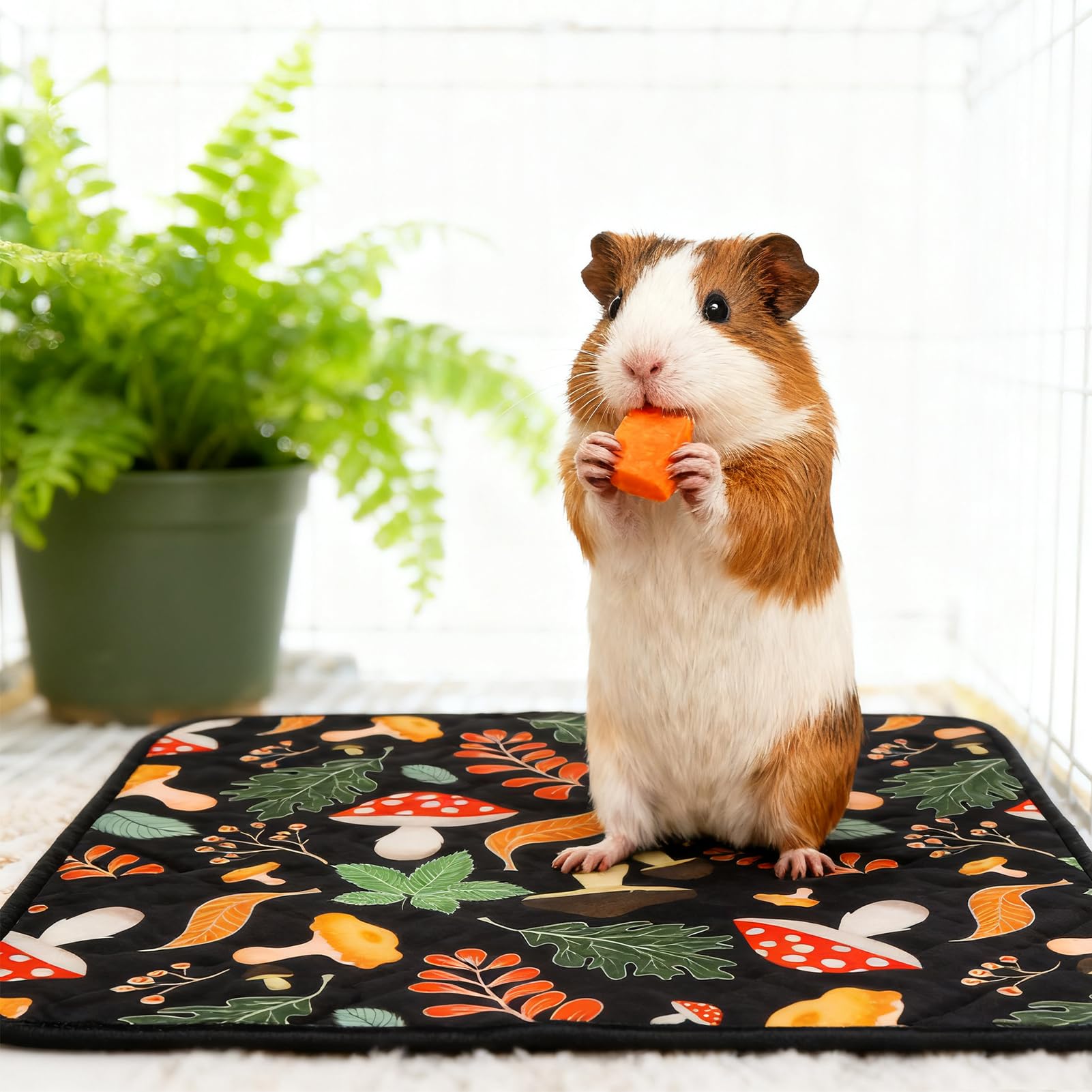 Homimp dryer-safe pads are easy to wash and reuse