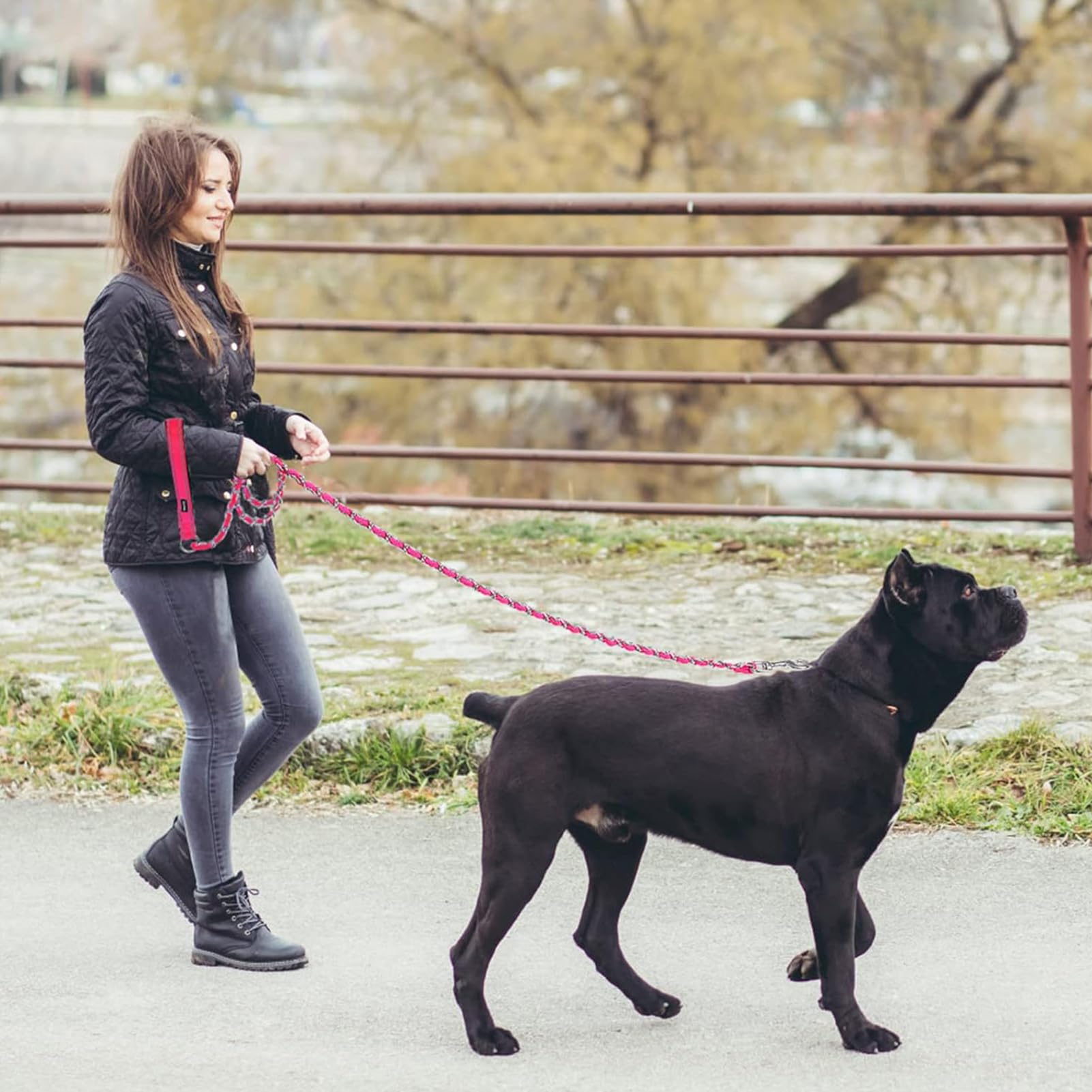 Homimp six-foot leash gives dogs freedom while keeping you in command during strolls.