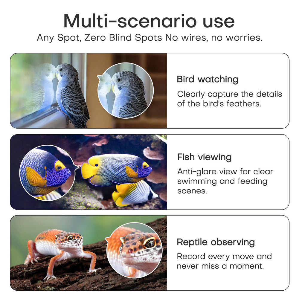 HomiQ Reptile live view via mobile app for instant updates and monitoring.