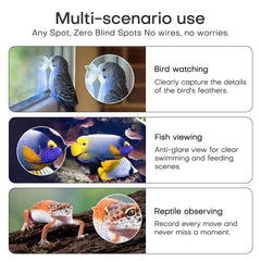HomiQ Reptile live view via mobile app for instant updates and monitoring.