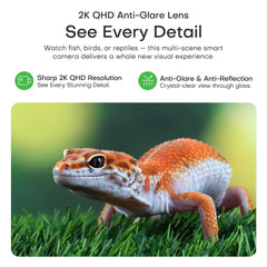 HomiQ Reptile camera using starlight vision for clear low-light viewing without extra lighting.