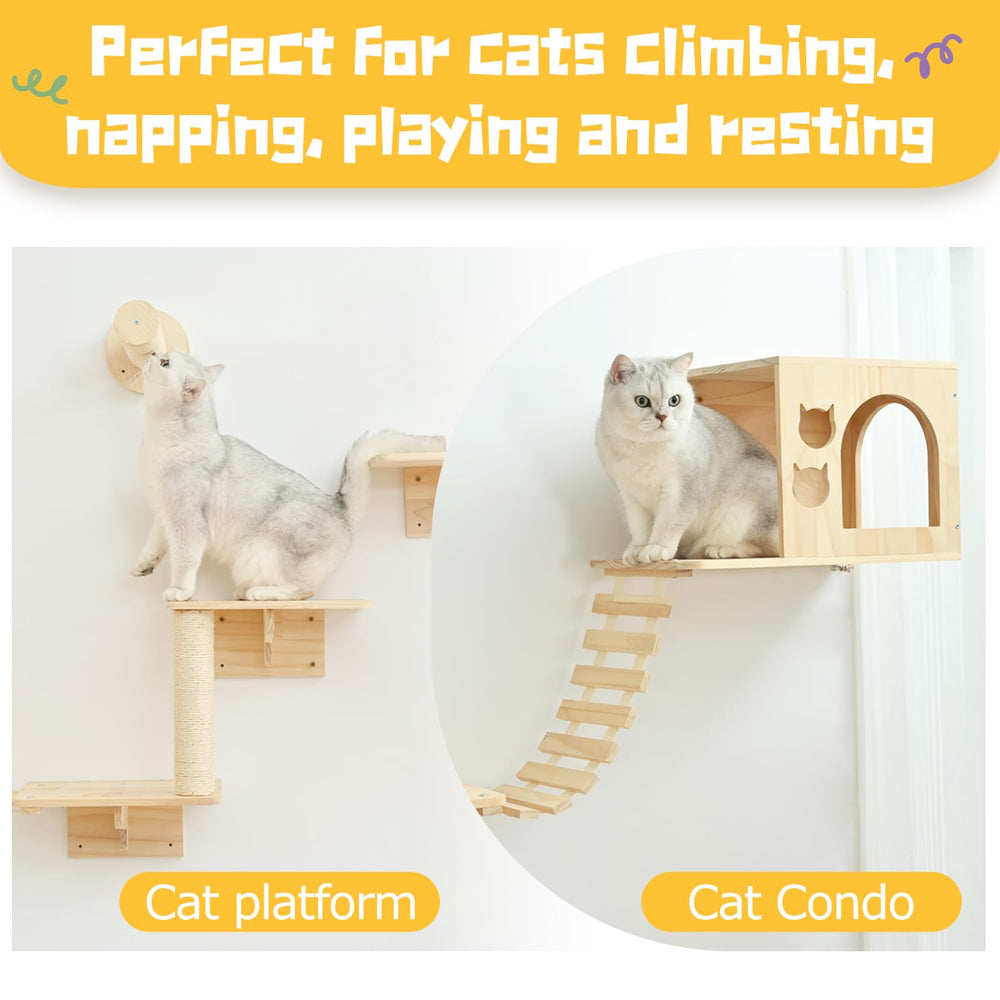 Homman elevated platforms provide secure perches for lounging and curiosity.