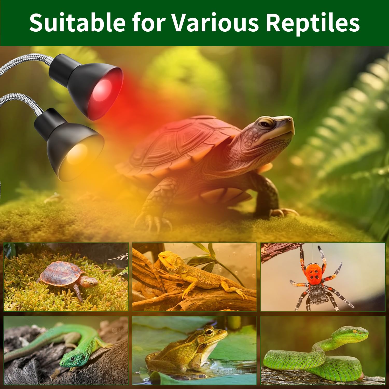 Homnebila reptile heat lamp timer dimming interface enables customizable heat cycles.