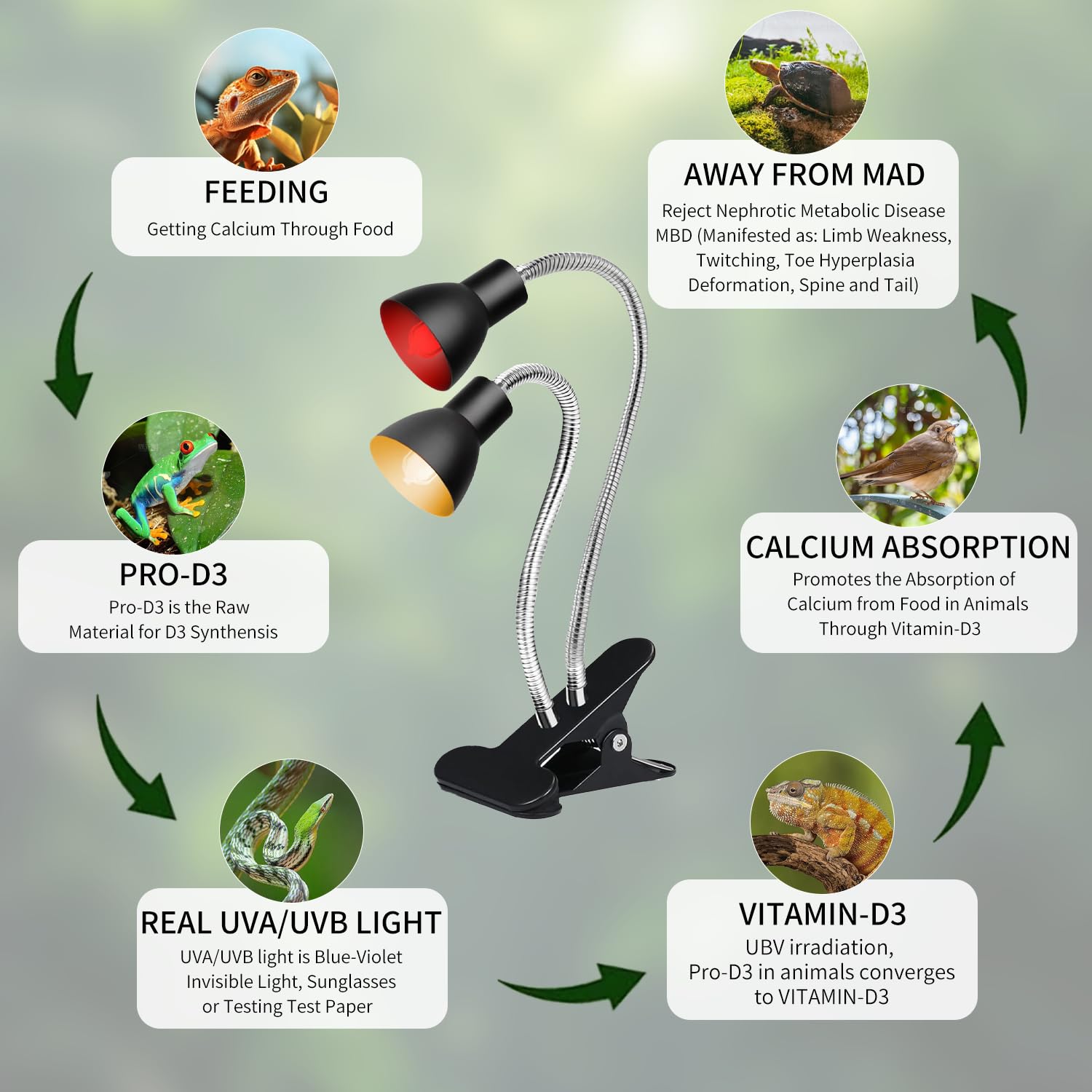 Homnebila reptile heat lamp turtle tank setup demonstrates 360 coverage for warm basking zones.