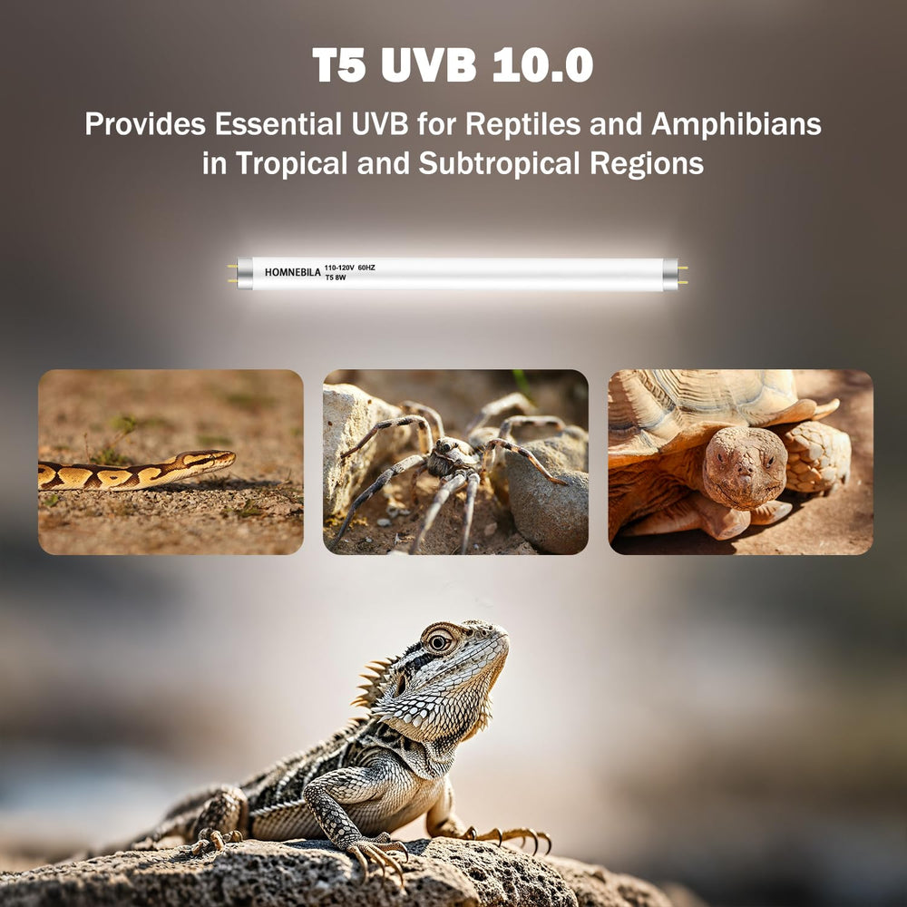 Homnebila T5 UVB bulb in a reptile enclosure for daytime lighting