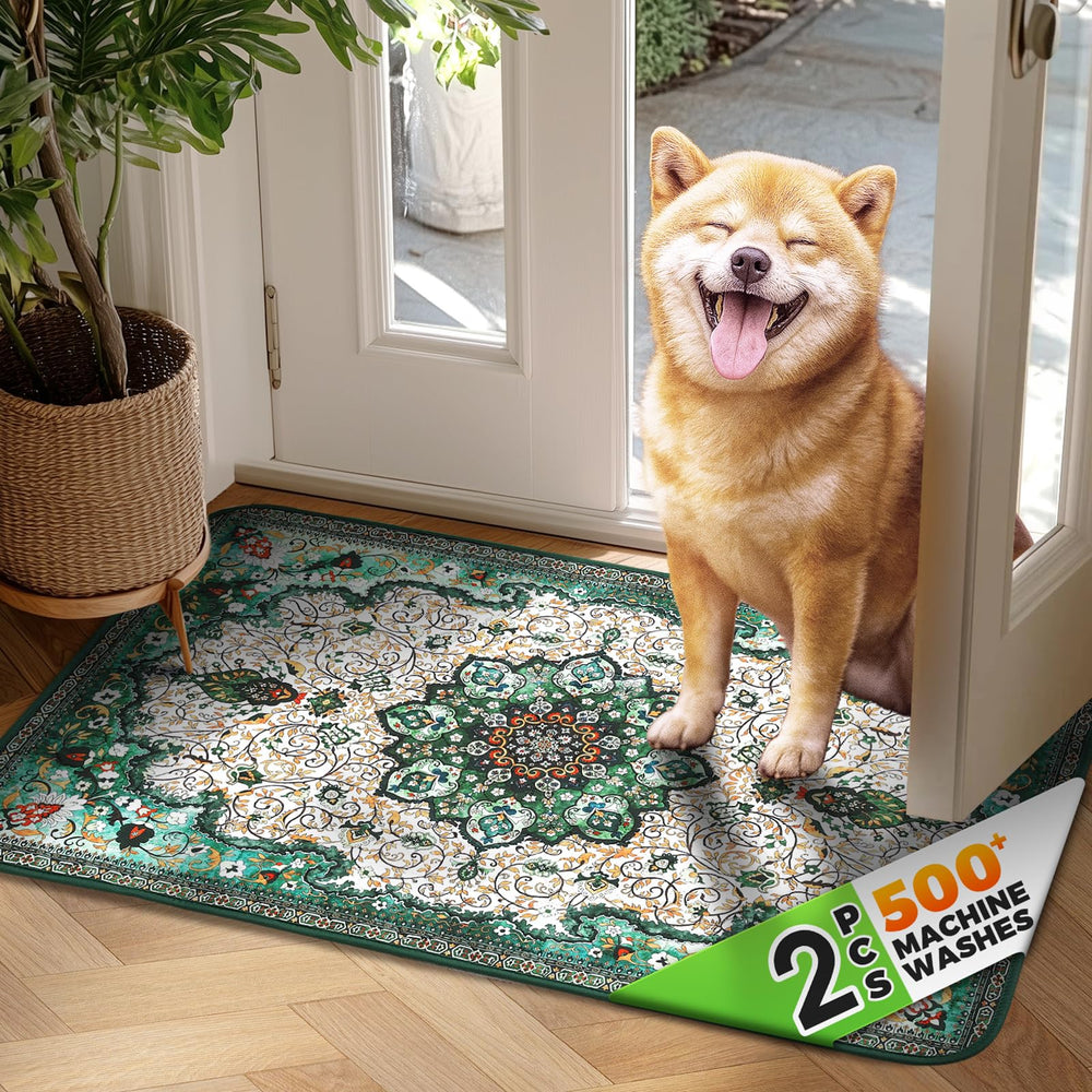 Hompet 2-pack dog door mat absorbent surface protecting floors.