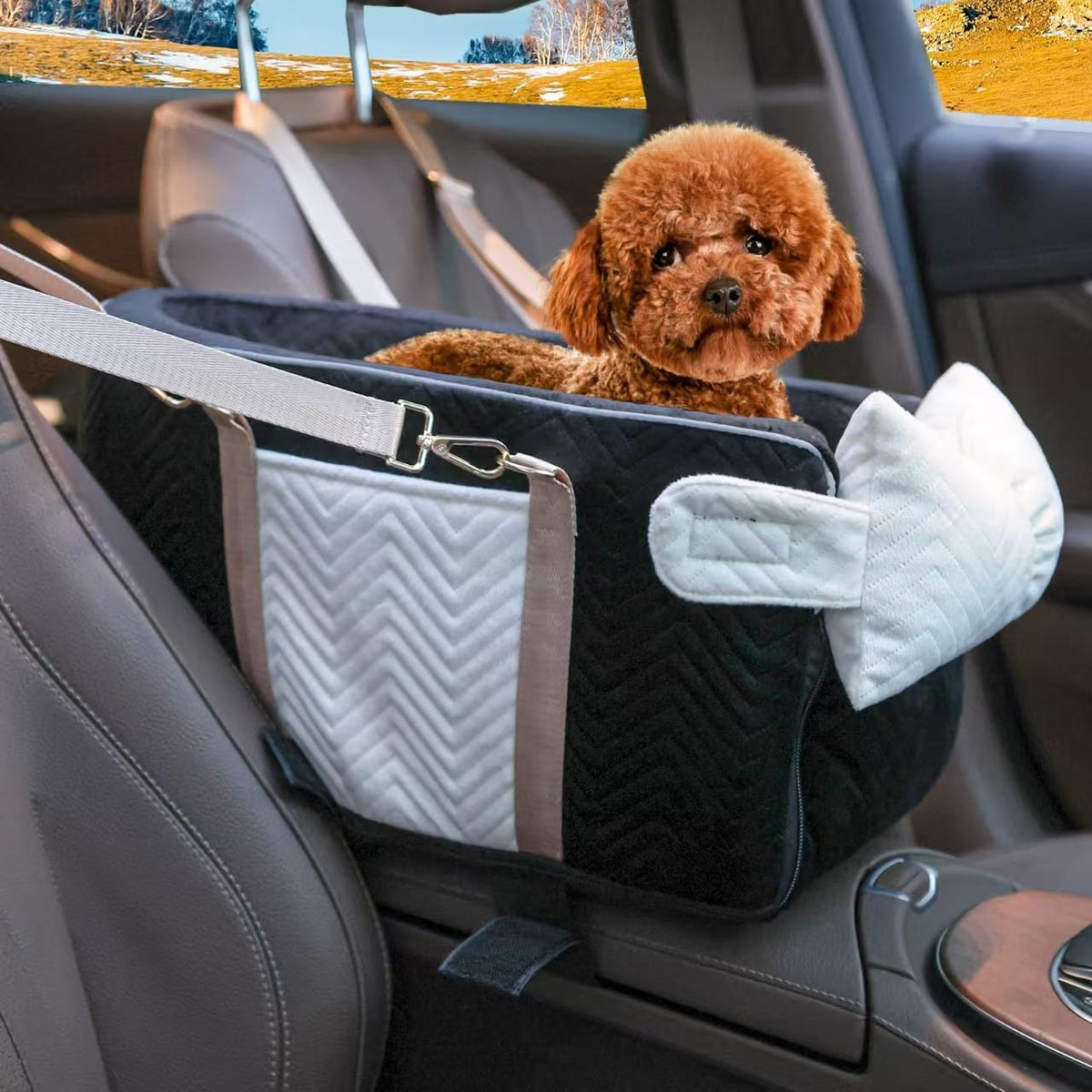 Homsunyi dog car seat center-console view shows compact fit for small pets.