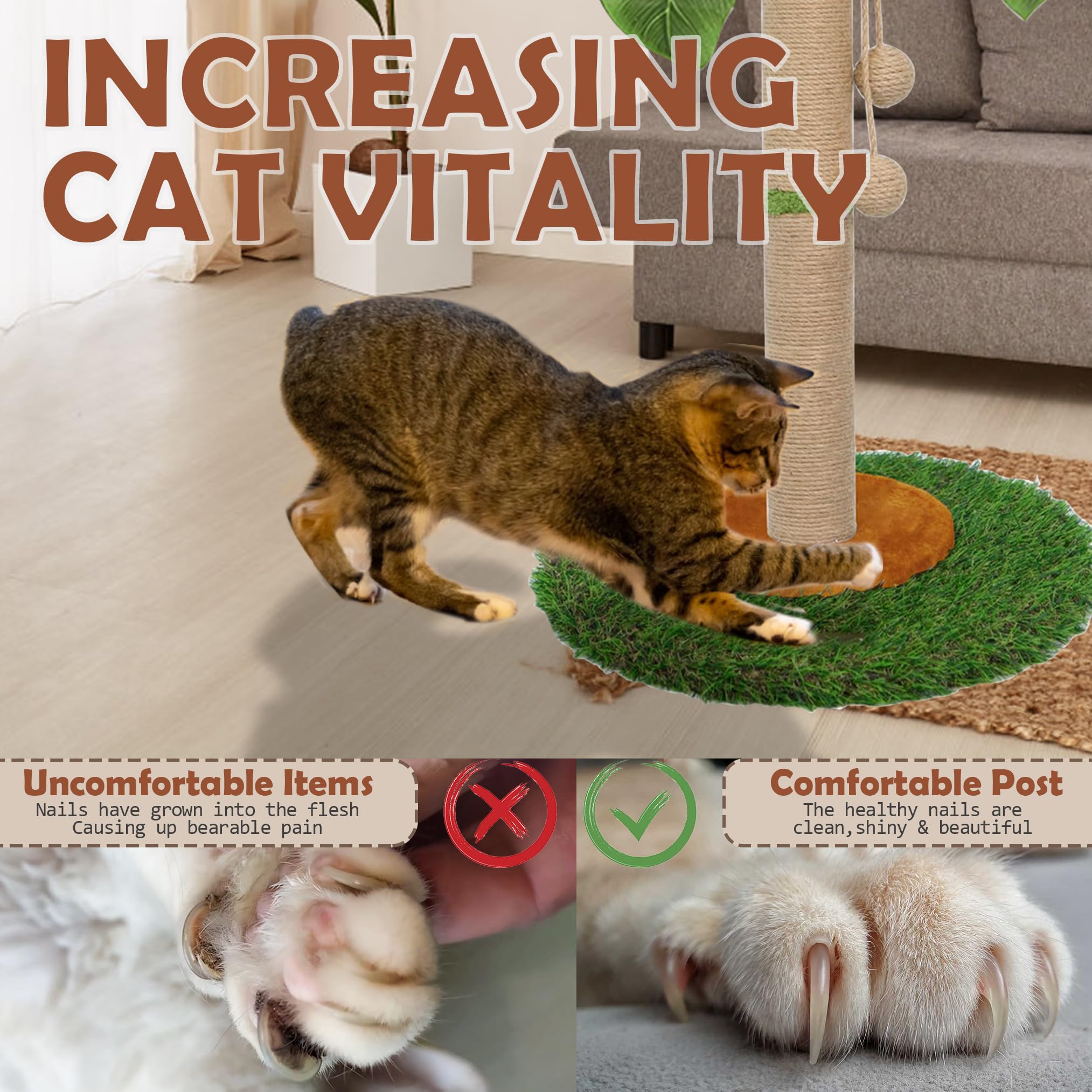 HOMYHANDS indoor-greenery-inspired design blends with home decor while providing a functional scratch surface.
