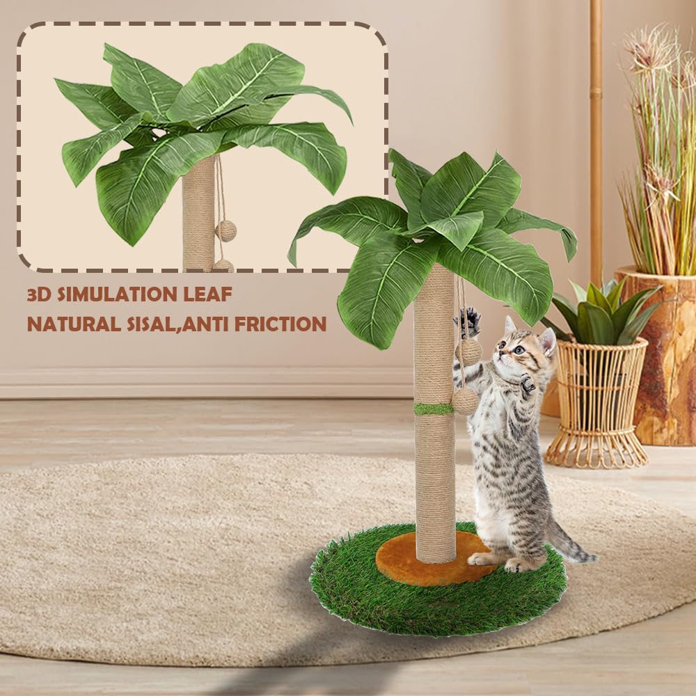 HOMYHANDS stable-bottom-wide-base ensures minimal sliding during vigorous scratching.