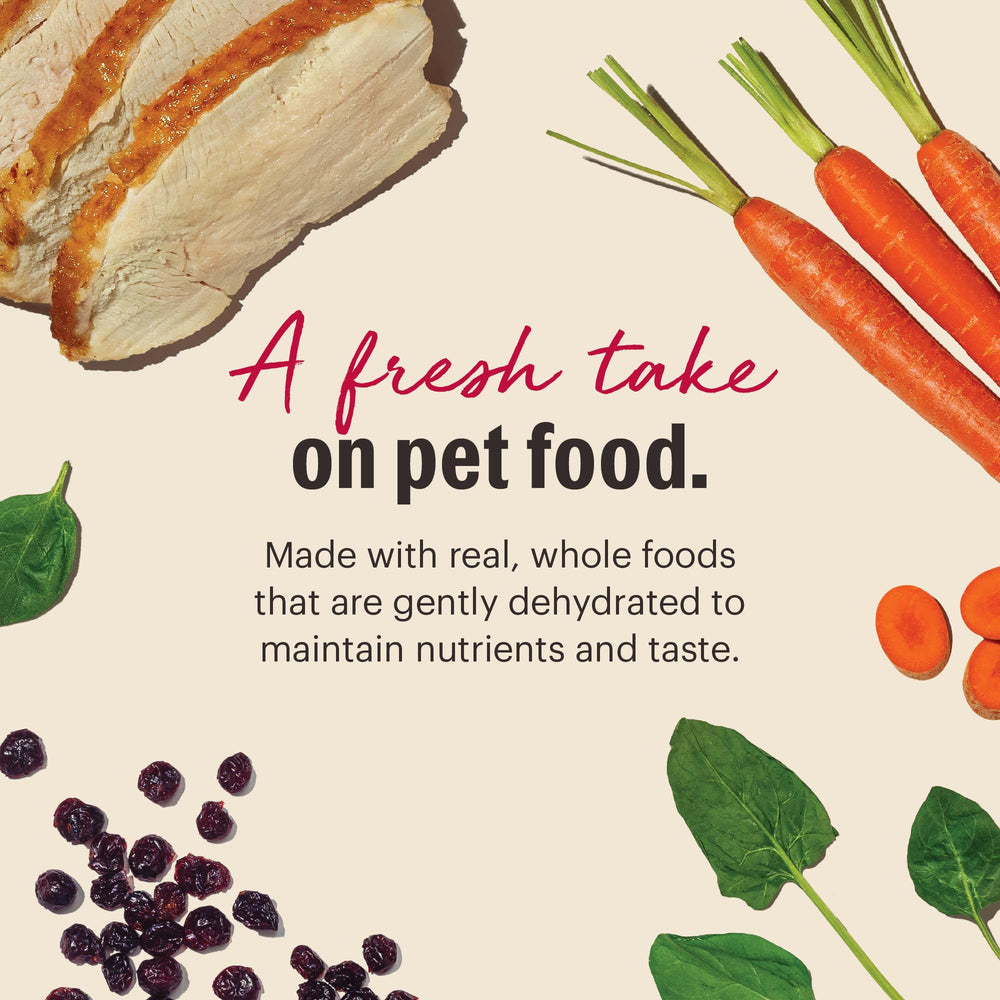 The Honest Kitchen WholeMade grain-free formula—gentle on sensitive stomachs for many dogs.