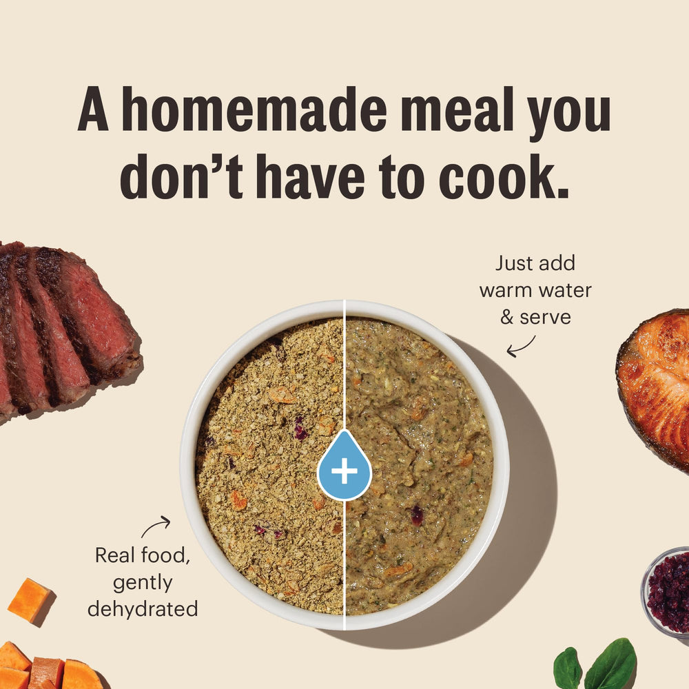 The Honest Kitchen WholeMade dog food before water addition—easy rehydration for quick, complete meals.