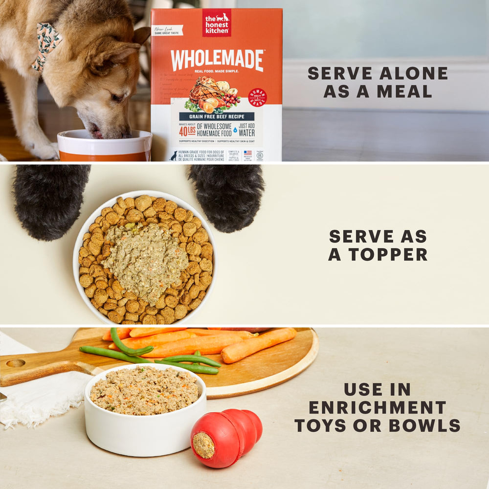 The Honest Kitchen WholeMade served meal in a bowl—customer-friendly mealtime.