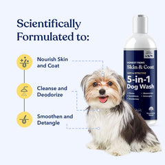 Honest Paws champú para perros, etiqueta natural, ingredientes vegetales para el cuidado diario.
