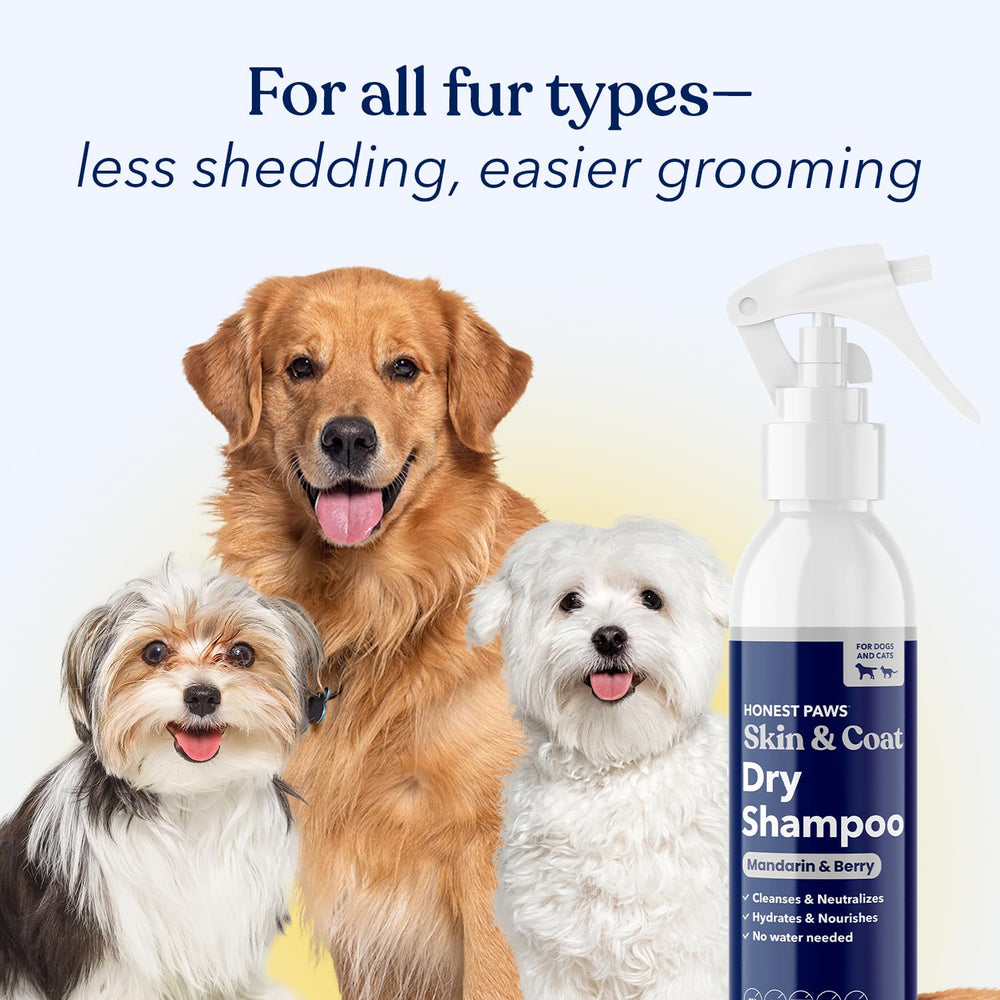 Honest Paws dog dry shampoo between-baths-use for quick refresh on busy days