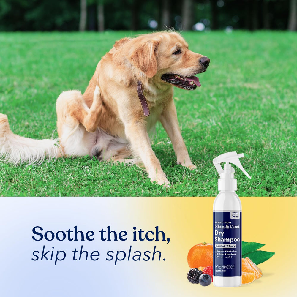 Honest Paws dry shampoo calming scent applied to coat for relaxed grooming