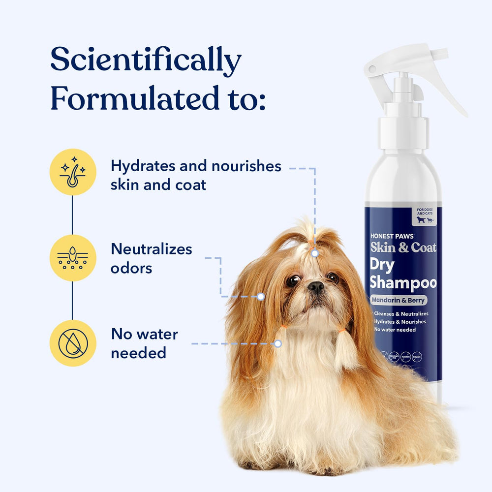 Honest Paws dog dry shampoo coat-cleanse spray on fur to refresh and deodorize