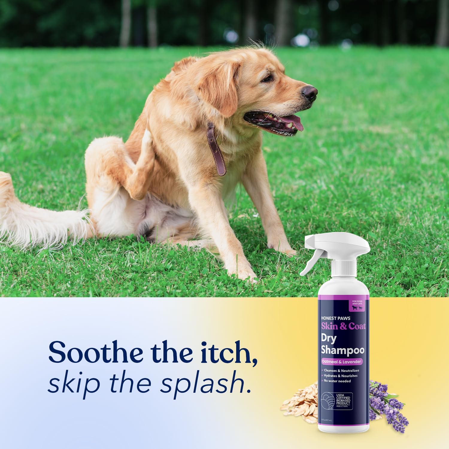 Honest Paws dog dry shampoo on puppy showing quick refresh