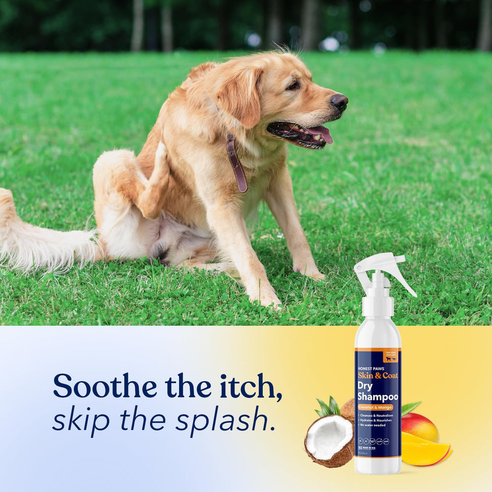 Honest Paws hydrating skin-and-coat nourishment shown after application